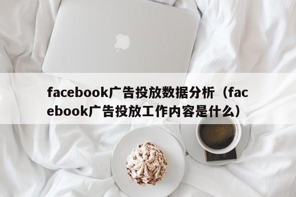 facebook广告投放数据分析(facebook广告投放工作内容是什么) 第1张 facebook广告投放数据分析(facebook广告投放工作内容是什么) 第1张