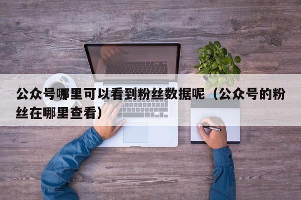 公众号哪里可以看到粉丝数据呢(公众号的粉丝在哪里查看) 第1张 公众号哪里可以看到粉丝数据呢(公众号的粉丝在哪里查看) 第1张