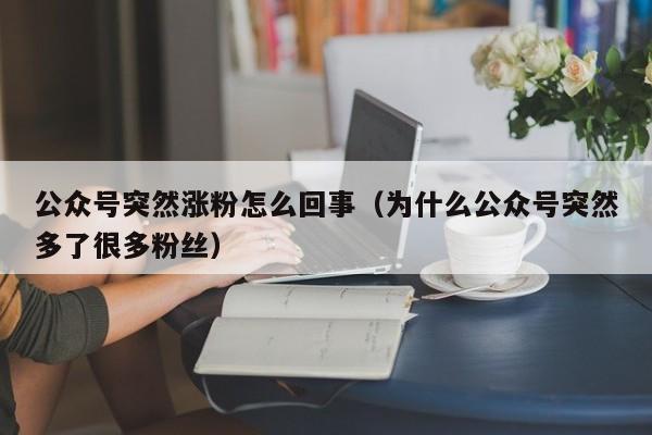 公众号突然涨粉怎么回事（为什么公众号突然多了很多粉丝） 第1张