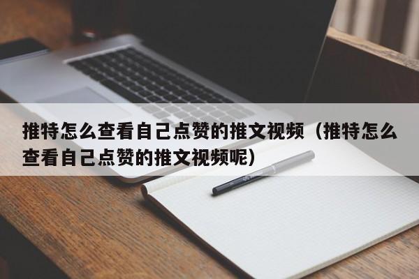 推特怎么查看自己点赞的推文视频（推特怎么查看自己点赞的推文视频呢） 第1张