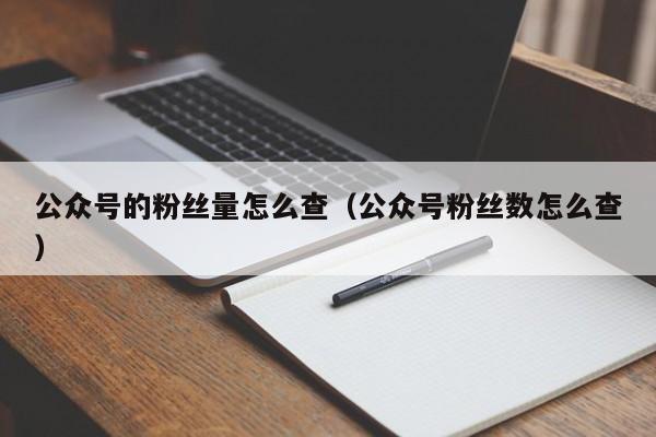 公众号的粉丝量怎么查（公众号粉丝数怎么查） 第1张