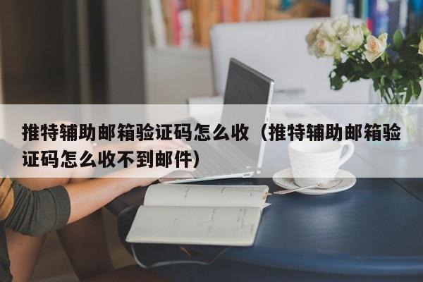 推特辅助邮箱验证码怎么收（推特辅助邮箱验证码怎么收不到邮件） 第1张