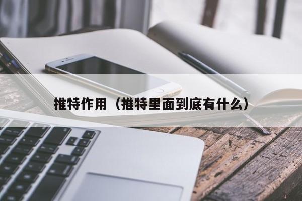 推特作用（推特里面到底有什么） 第1张