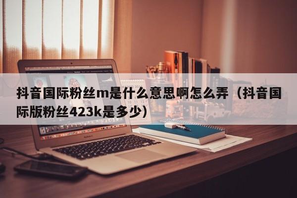 抖音国际粉丝m是什么意思啊怎么弄（抖音国际版粉丝423k是多少） 第1张