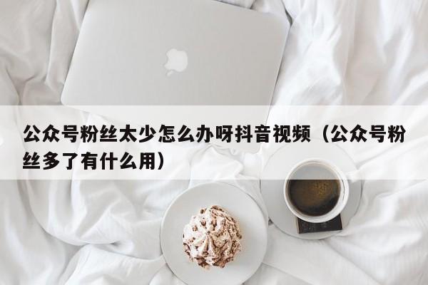 公众号粉丝太少怎么办呀抖音视频（公众号粉丝多了有什么用） 第1张