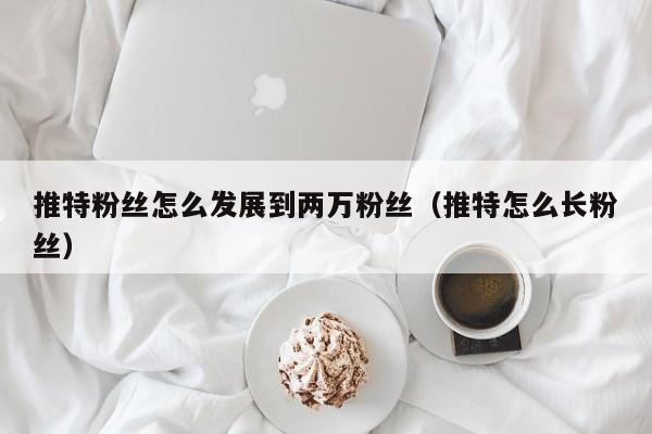 推特粉丝怎么发展到两万粉丝（推特怎么长粉丝） 第1张