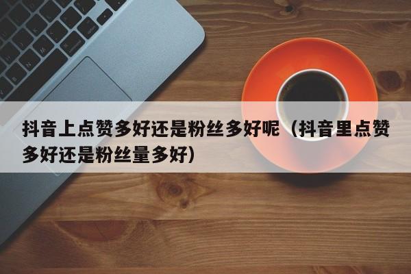 抖音上点赞多好还是粉丝多好呢（抖音里点赞多好还是粉丝量多好） 第1张