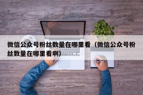 微信公众号粉丝数量在哪里看（微信公众号粉丝数量在哪里看啊） 第1张