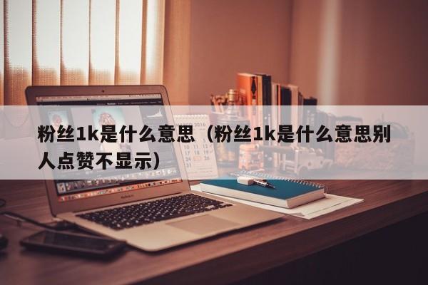 粉丝1k是什么意思（粉丝1k是什么意思别人点赞不显示） 第1张