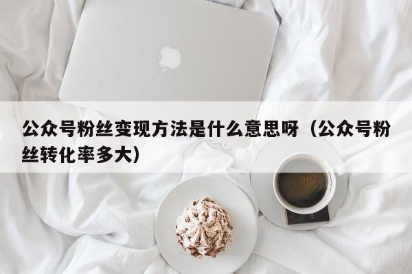 公众号粉丝变现方法是什么意思呀（公众号粉丝转化率多大） 第1张