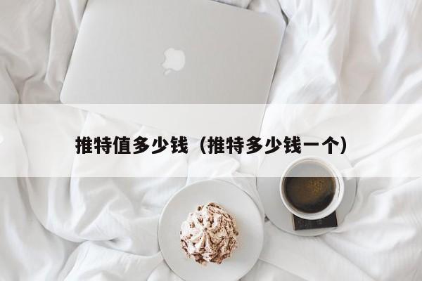 推特值多少钱（推特多少钱一个） 第1张