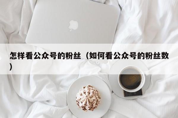 怎样看公众号的粉丝（如何看公众号的粉丝数） 第1张