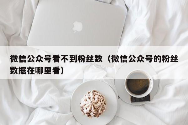 微信公众号看不到粉丝数（微信公众号的粉丝数据在哪里看） 第1张