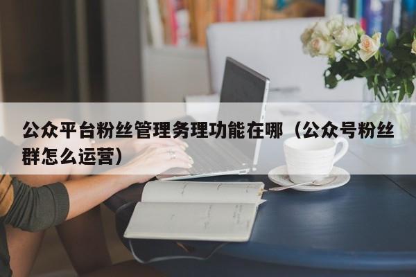公众平台粉丝管理务理功能在哪（公众号粉丝群怎么运营） 第1张