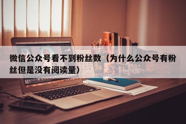 微信公众号看不到粉丝数（为什么公众号有粉丝但是没有阅读量） 第1张