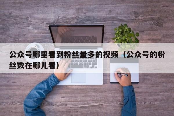 公众号哪里看到粉丝量多的视频（公众号的粉丝数在哪儿看） 第1张