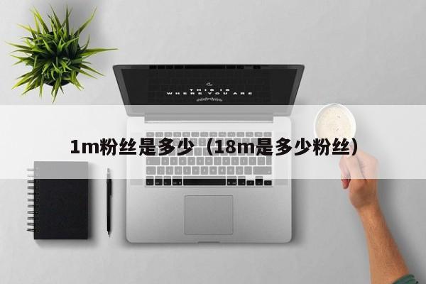 1m粉丝是多少（18m是多少粉丝） 第1张