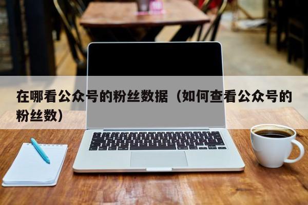 在哪看公众号的粉丝数据（如何查看公众号的粉丝数） 第1张