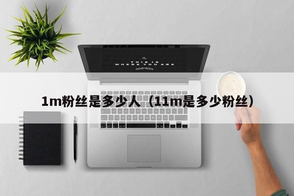 1m粉丝是多少人（11m是多少粉丝） 第1张