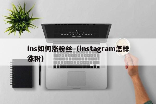 ins如何涨粉丝（instagram怎样涨粉） 第1张