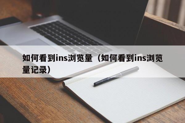 如何看到ins浏览量（如何看到ins浏览量记录） 第1张