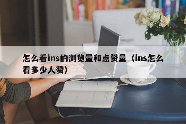 怎么看ins的浏览量和点赞量（ins怎么看多少人赞） 第1张