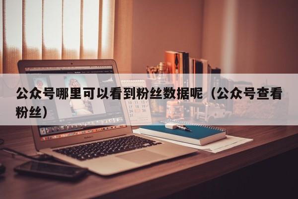 公众号哪里可以看到粉丝数据呢（公众号查看粉丝） 第1张