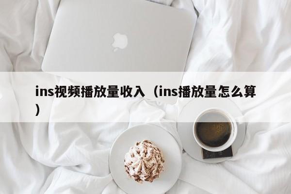 ins视频播放量收入（ins播放量怎么算） 第1张