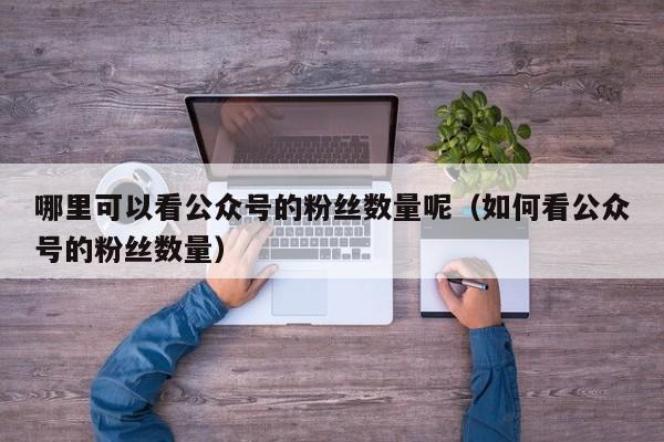 哪里可以看公众号的粉丝数量呢（如何看公众号的粉丝数量） 第1张