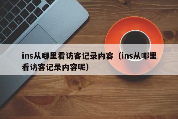 ins从哪里看访客记录内容（ins从哪里看访客记录内容呢） 第1张