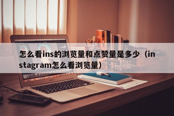 怎么看ins的浏览量和点赞量是多少（instagram怎么看浏览量） 第1张