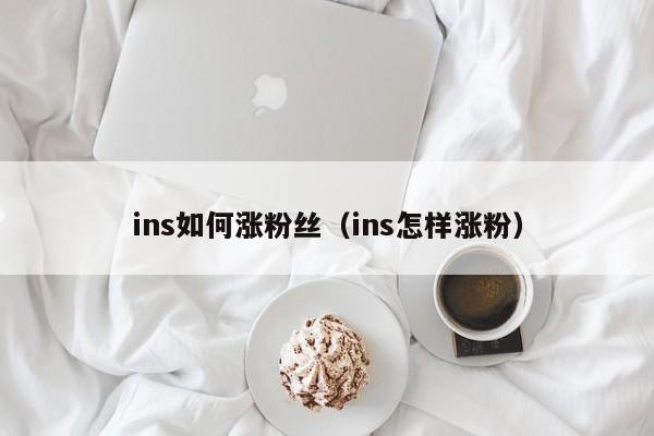 ins如何涨粉丝（ins怎样涨粉） 第1张