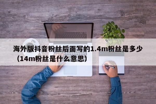 海外版抖音粉丝后面写的1.4m粉丝是多少（14m粉丝是什么意思） 第1张