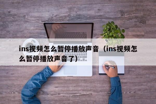 ins视频怎么暂停播放声音（ins视频怎么暂停播放声音了） 第1张