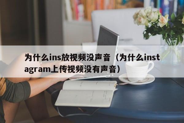 为什么ins放视频没声音（为什么instagram上传视频没有声音） 第1张