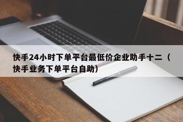快手24小时下单平台最低价企业助手十二（快手业务下单平台自助） 第1张