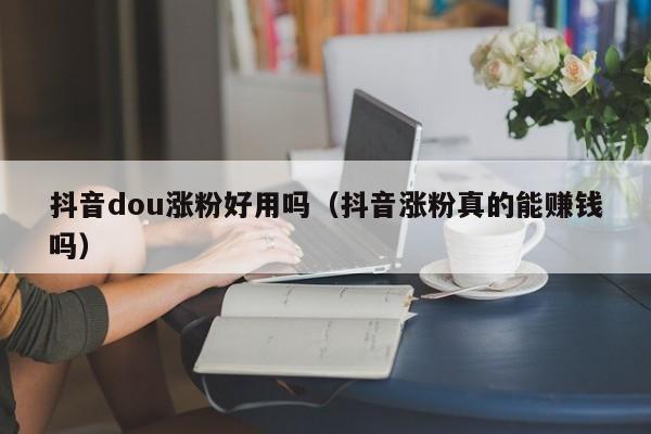 抖音dou涨粉好用吗（抖音涨粉真的能赚钱吗） 第1张