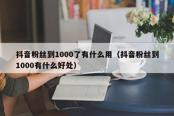 抖音粉丝到1000了有什么用(抖音粉丝到1000有什么好处) 第1张 抖音粉丝到1000了有什么用(抖音粉丝到1000有什么好处) 第1张