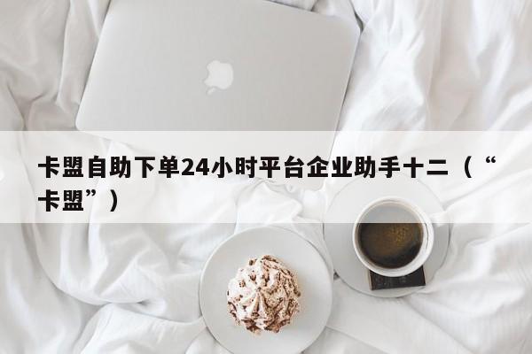 卡盟自助下单24小时平台企业助手十二（“卡盟”） 第1张