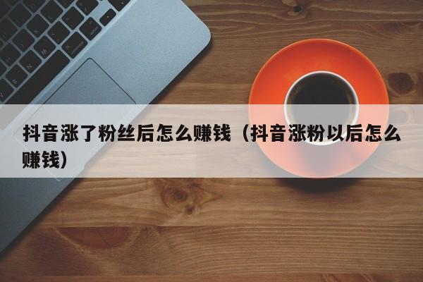 抖音涨了粉丝后怎么赚钱（抖音涨粉以后怎么赚钱） 第1张