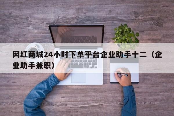 网红商城24小时下单平台企业助手十二（企业助手兼职） 第1张