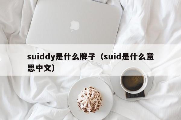suiddy是什么牌子（suid是什么意思中文） 第1张