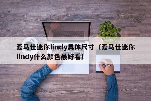 爱马仕迷你lindy具体尺寸（爱马仕迷你lindy什么颜色最好看） 第1张