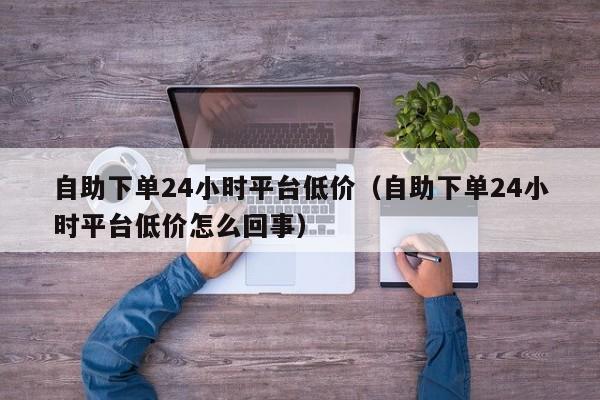 自助下单24小时平台低价（自助下单24小时平台低价怎么回事） 第1张