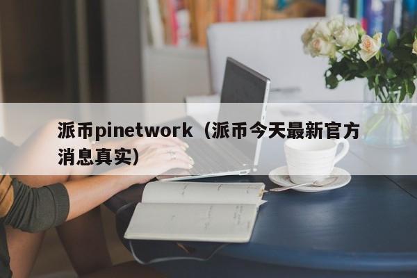 派币pinetwork（派币今天最新官方消息真实） 第1张