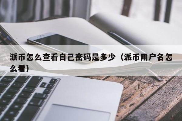派币怎么查看自己密码是多少（派币用户名怎么看） 第1张