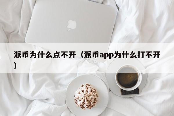 派币为什么点不开（派币app为什么打不开） 第1张