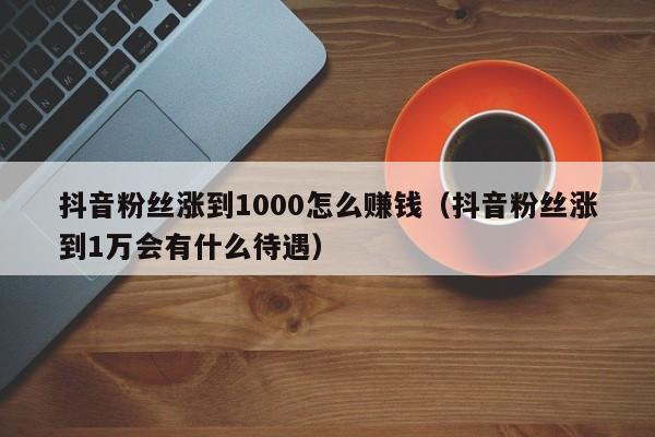 抖音粉丝涨到1000怎么赚钱（抖音粉丝涨到1万会有什么待遇） 第1张