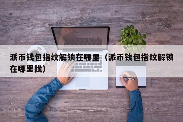 派币钱包指纹解锁在哪里（派币钱包指纹解锁在哪里找） 第1张