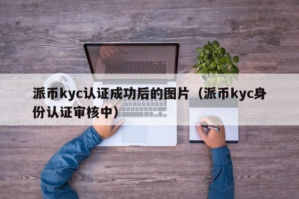 派币kyc认证成功后的图片（派币kyc身份认证审核中） 第1张